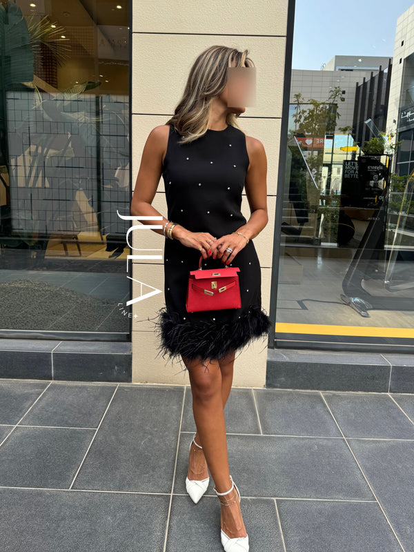 Feathered black dress